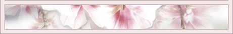 Left footer image